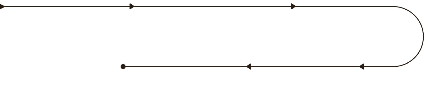 Assessment Timeline