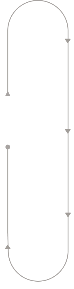 timeline